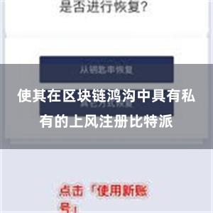使其在区块链鸿沟中具有私有的上风注册比特派